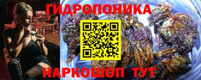 индика Будённовск