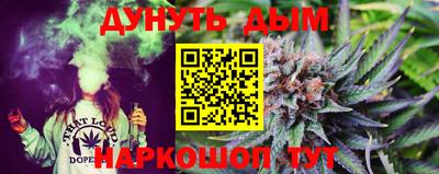 индика Будённовск