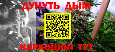 индика Будённовск
