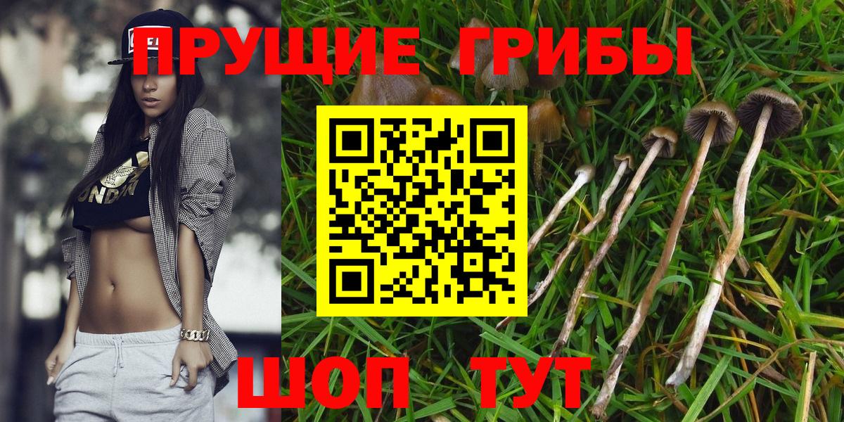 Галлюциногенные грибы прущие грибы  Вход с VPN  Павловский Посад 