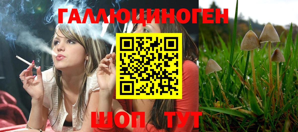 Галлюциногенные грибы GOLDEN TEACHER Павловский Посад